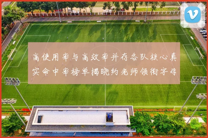 高使用率与高效率并存各队核心真实命中率榜单揭晓约老师领衔字母紧随其后